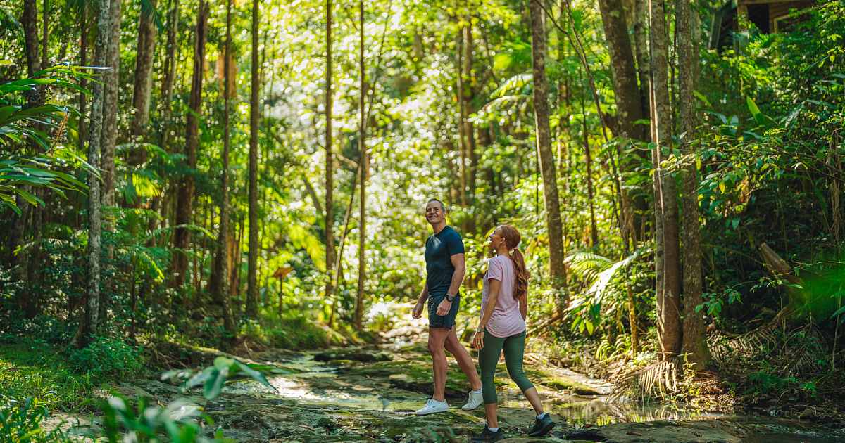 Sunshine Coast Hinterland Great Walk Well Traveller Sunshine Coast
