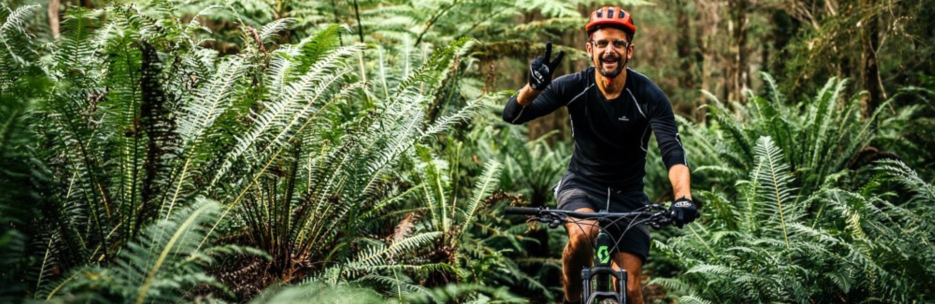 a man on a mountain bike riding through a rainforest