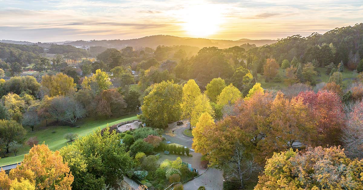 6 Ways to Immerse Yourself in Adelaide Hills | Well Traveller