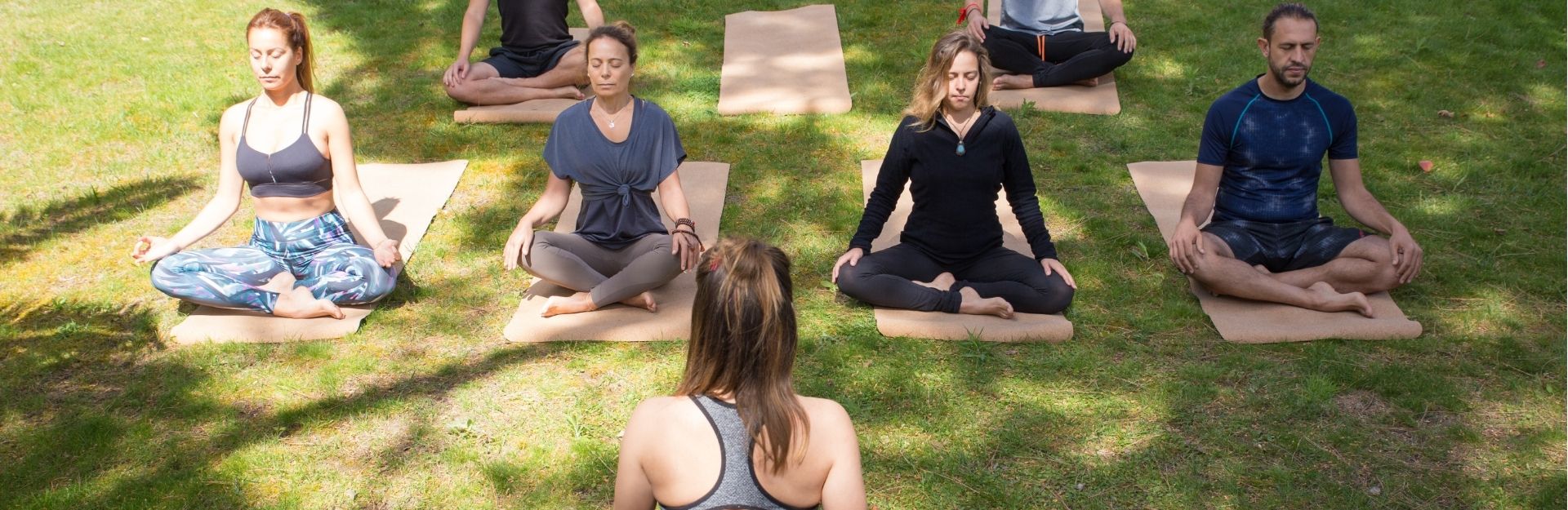a group of people meditating at sunrise in sydney