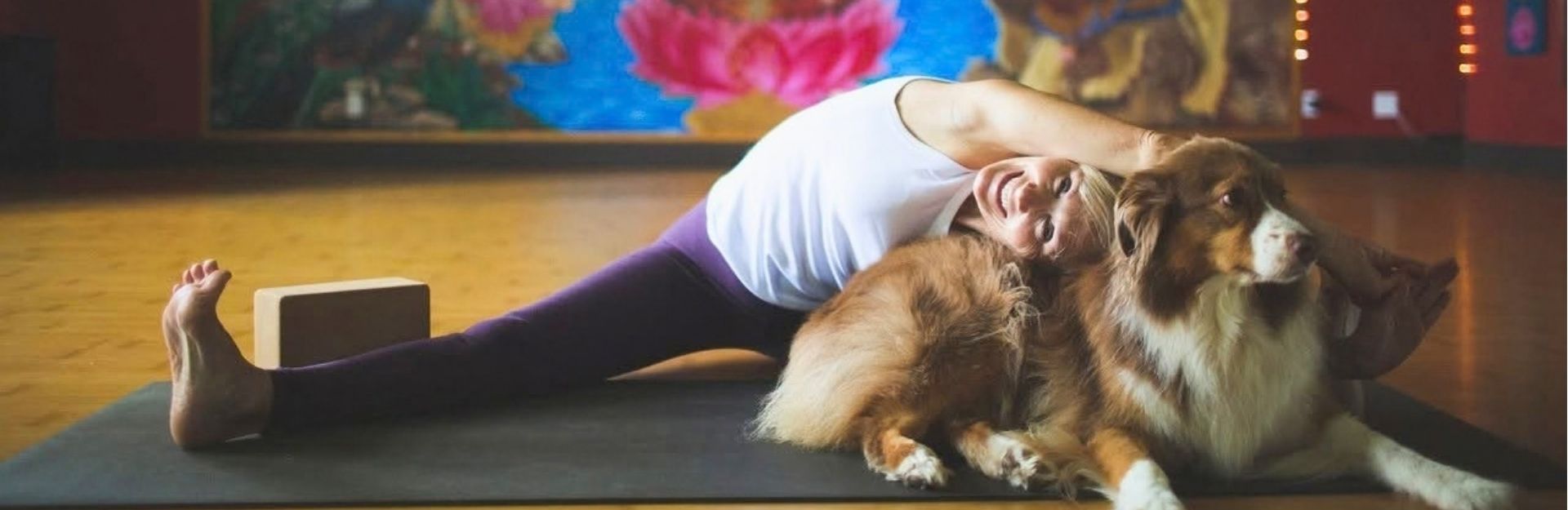 a lady ditting on the floor doing a yoga pose with her brown and white border collie dog