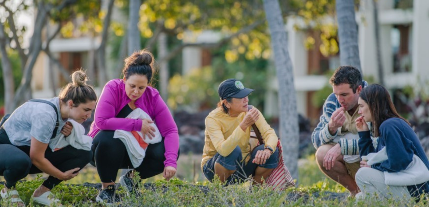 5 people crouching in a grassy outdoor area observing and collecting plants from nature