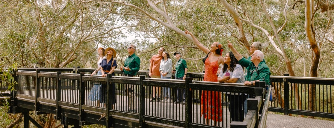 a group of people on the skywalk at a Koala Sanctuary