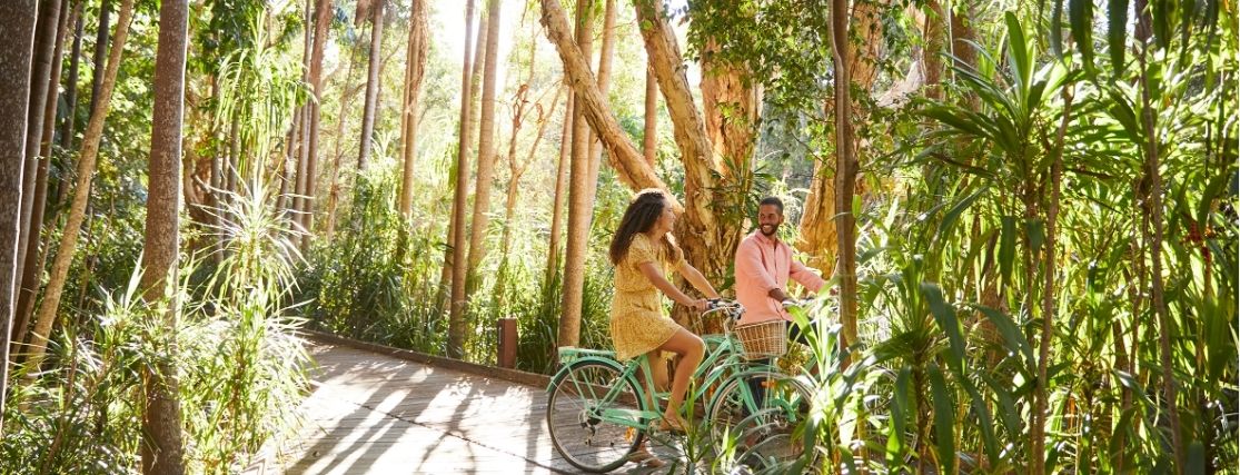 a couple on bikes, riding along a boardwalk through crystalbrook byron's rainforest