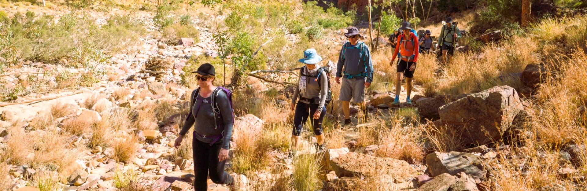 a group of people hiking the larapinta trail