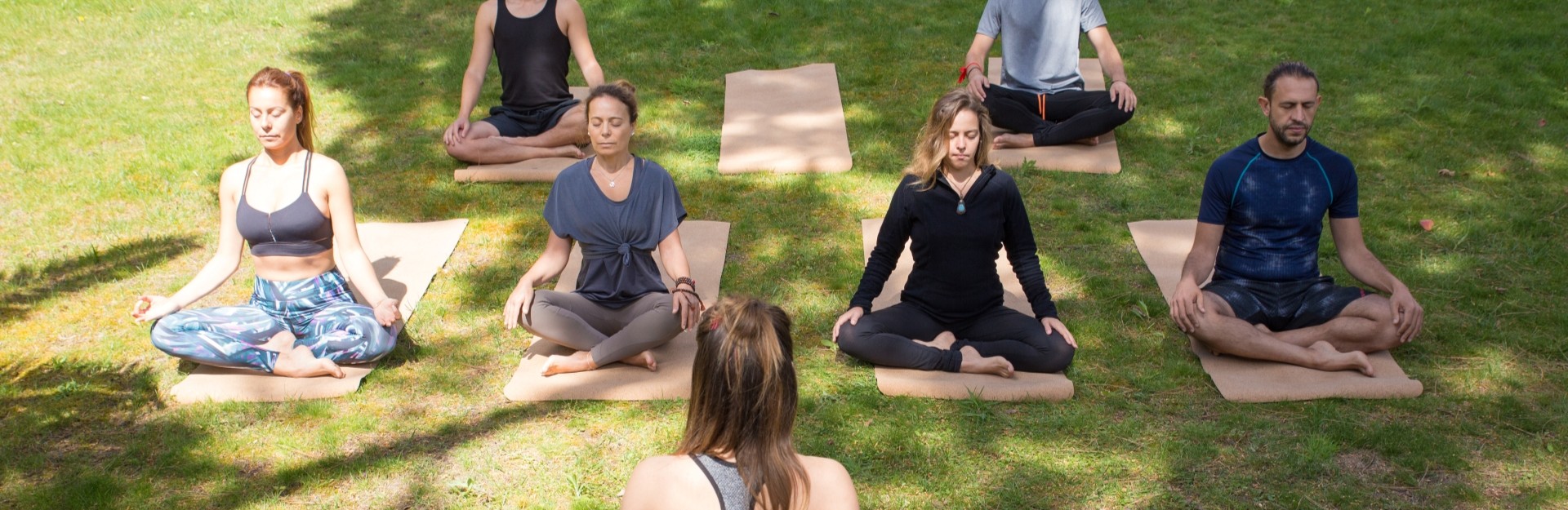 a group of people meditating at sunrise in sydney