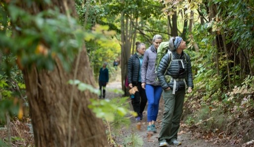 a group of women enjoying a forest bathing session in the Belair State forest in the Adelaide Hills