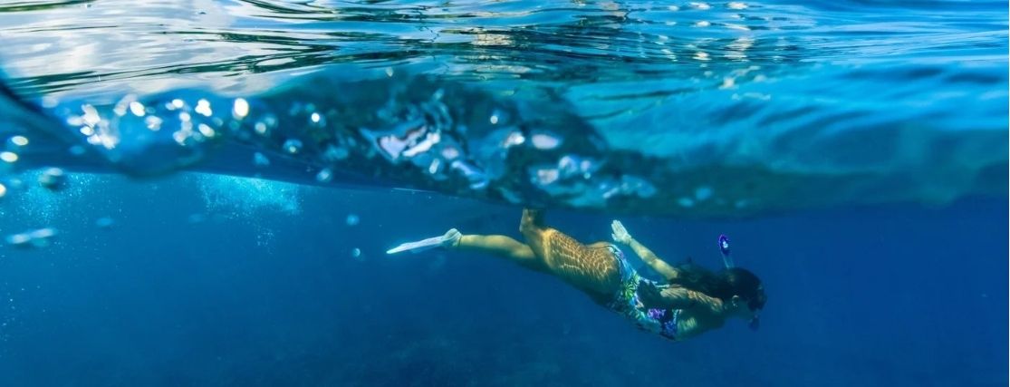 a lady snorkelling on the Kona Coast in Hawaii