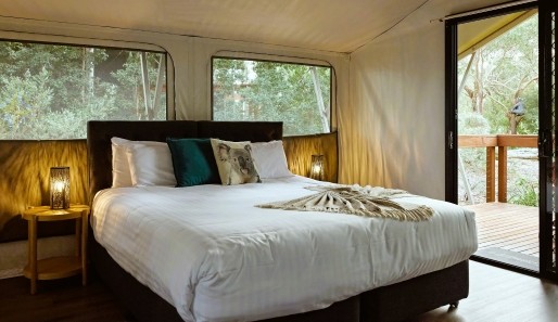The inside of a glamping tent at Port Stephens Koala Sanctuary, showing a queen bed and koala pillows.