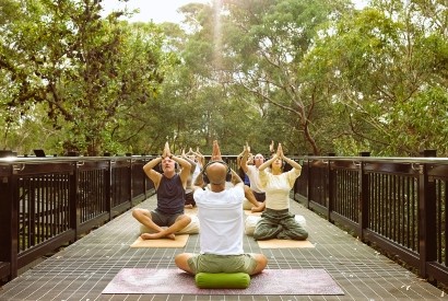 a cgroup of people meditating with headsets in the australian bush