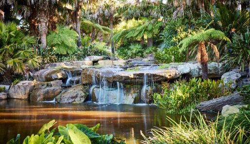 the gardens of Willinga Park showing a pond and small rock water feature